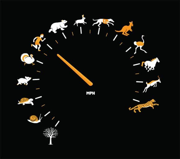 How To Increase WordPress Speed 4 How Fast is Fast