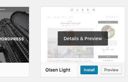 How To Start A WordPress Blog 16 Activate Theme