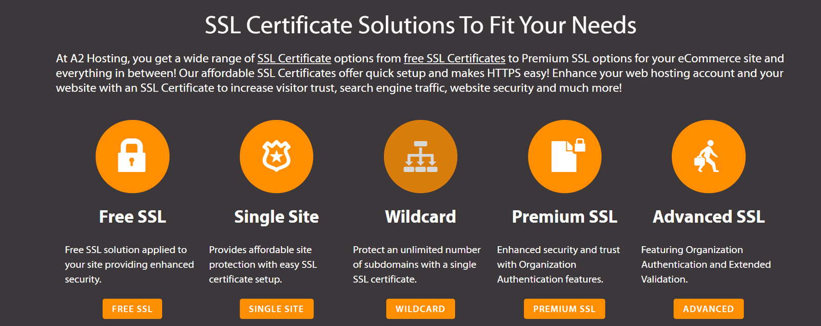 A2hosting Review - Highest Rated Hosting 11 a2hosting review
